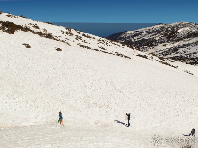 Альбом истории "Времена года в парке Тейде"