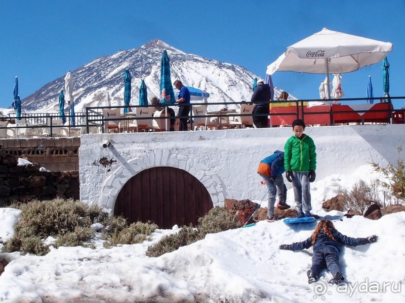 Альбом истории "Времена года в парке Тейде"
