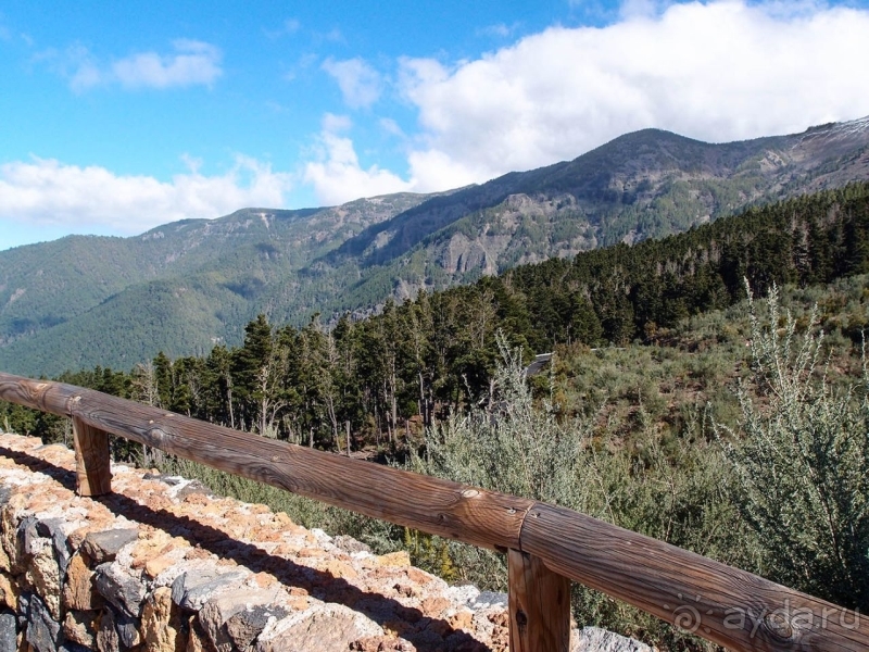 Альбом истории "Времена года в парке Тейде"