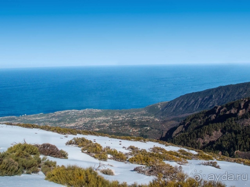 Альбом истории "Времена года в парке Тейде"