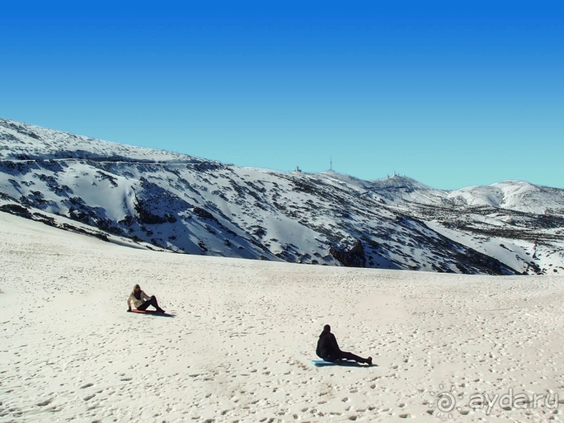 Альбом истории "Времена года в парке Тейде"