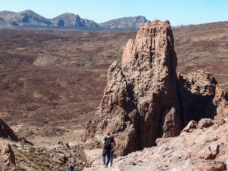 Альбом истории "Времена года в парке Тейде"