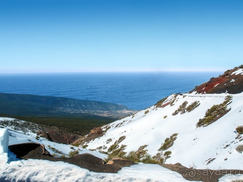 Альбом истории "Времена года в парке Тейде"