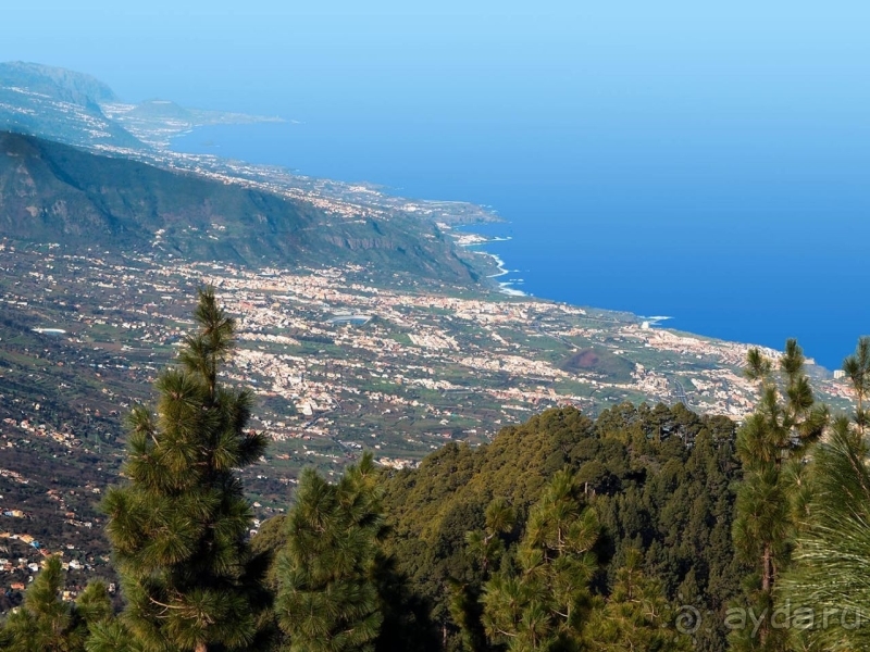 Альбом истории "Времена года в парке Тейде"