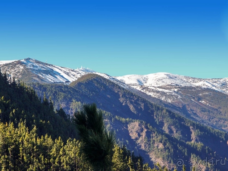 Альбом истории "Времена года в парке Тейде"