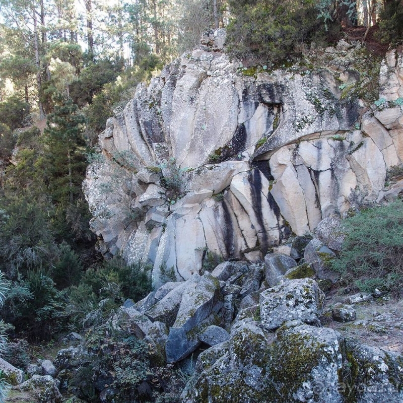 Альбом истории "Времена года в парке Тейде"