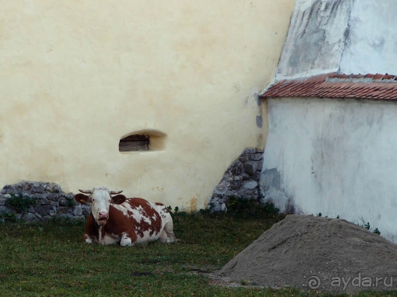 Церковь — крестьянская крепость