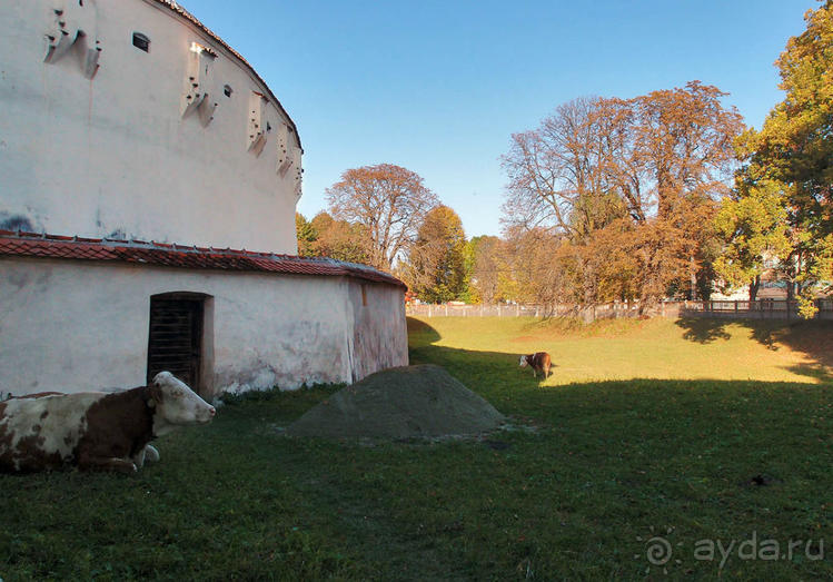 Церковь — крестьянская крепость