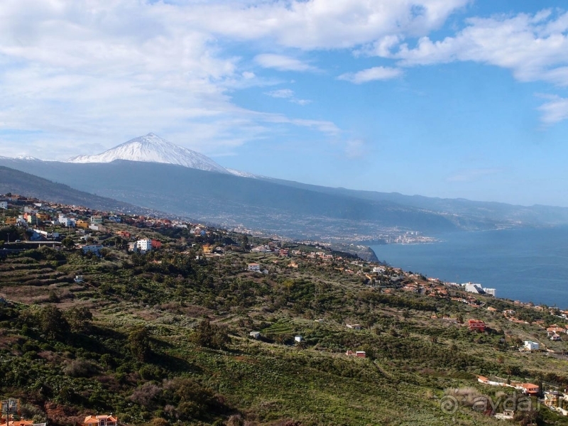 Альбом истории "Винная асьенда"