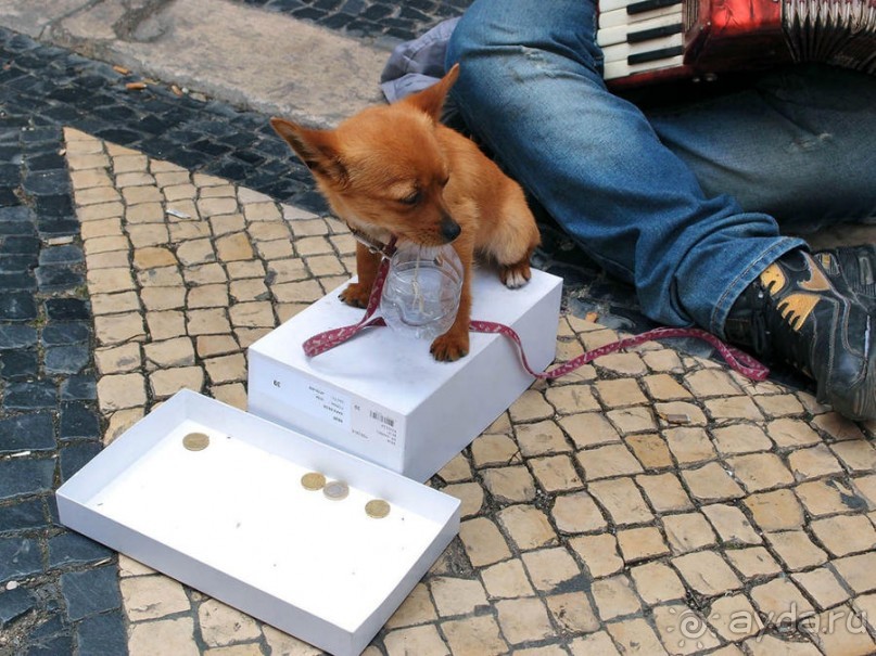 В эпицентре