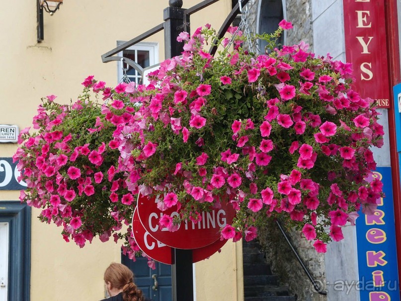 Типично ирландский Килкенни