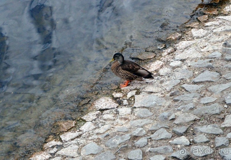 Типично ирландский Килкенни