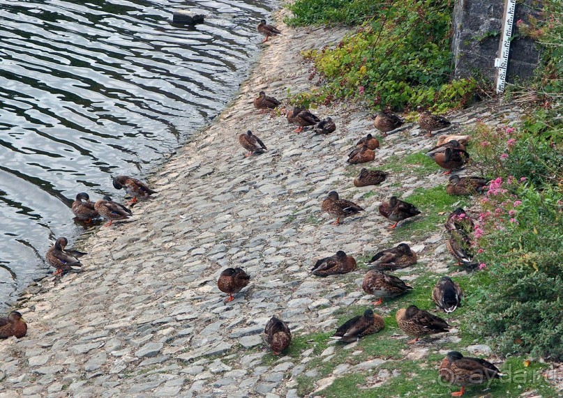 Типично ирландский Килкенни