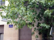 На улице Фигов