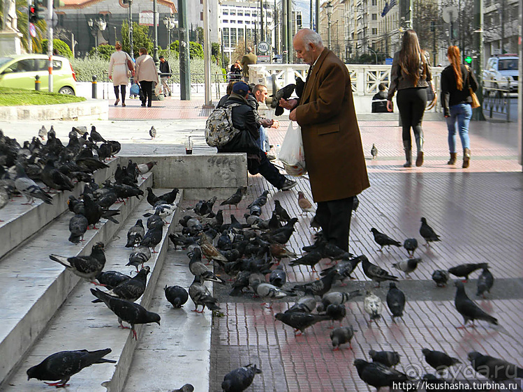 Афинская трилогия (ч.2) Университет и Библиотека