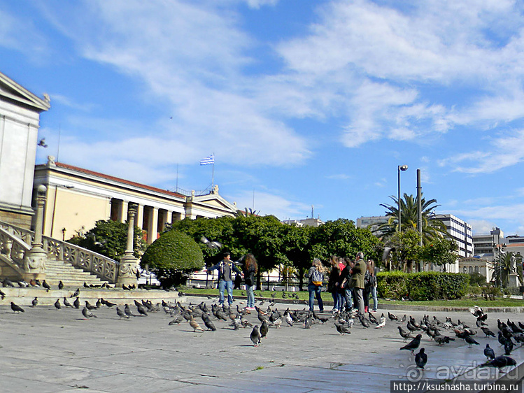 Афинская трилогия (ч.2) Университет и Библиотека