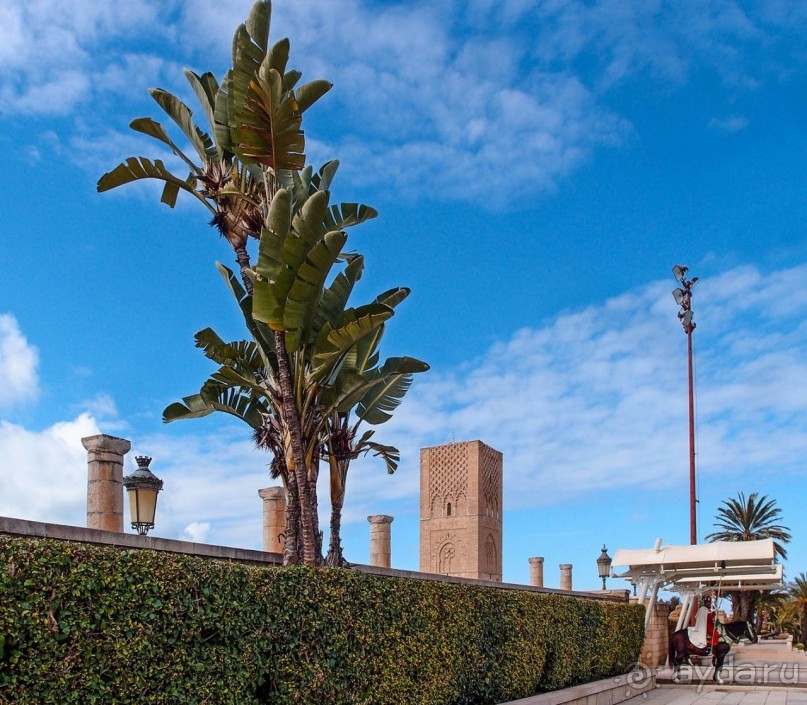 Младшая сестра Хиральды и Королевский мавзолей