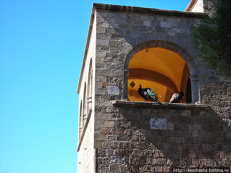 Крестовый путь на горе Филеримос