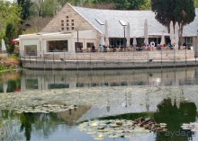 Ботанический сад Иерусалима и Стена Плача в праздничный день