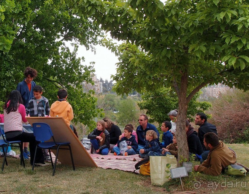 Ботанический сад Иерусалима и Стена Плача в праздничный день