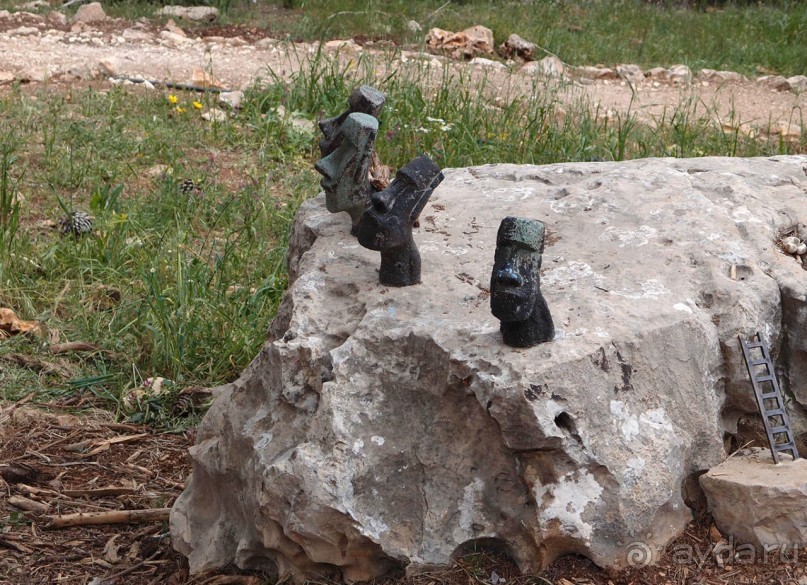 Ботанический сад Иерусалима и Стена Плача в праздничный день