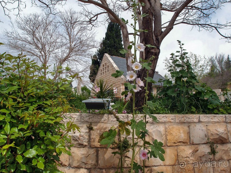 Ботанический сад Иерусалима и Стена Плача в праздничный день