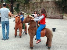 Ботанический сад Иерусалима и Стена Плача в праздничный день