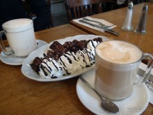 Ботанический сад Иерусалима и Стена Плача в праздничный день