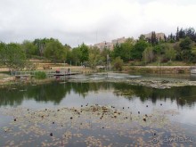 Ботанический сад Иерусалима и Стена Плача в праздничный день