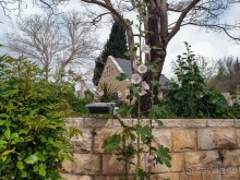 Ботанический сад Иерусалима и Стена Плача в праздничный день