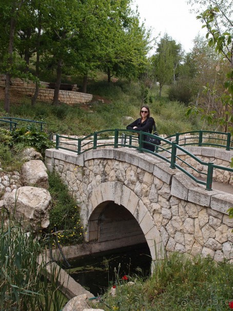 Ботанический сад Иерусалима и Стена Плача в праздничный день