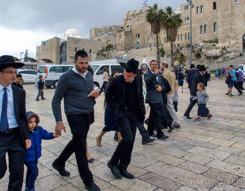 Ботанический сад Иерусалима и Стена Плача в праздничный день