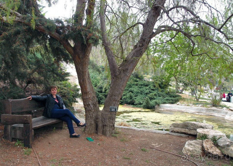 Ботанический сад Иерусалима и Стена Плача в праздничный день