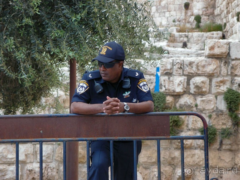 Ботанический сад Иерусалима и Стена Плача в праздничный день