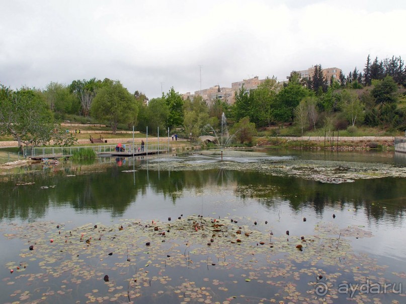 Ботанический сад Иерусалима и Стена Плача в праздничный день