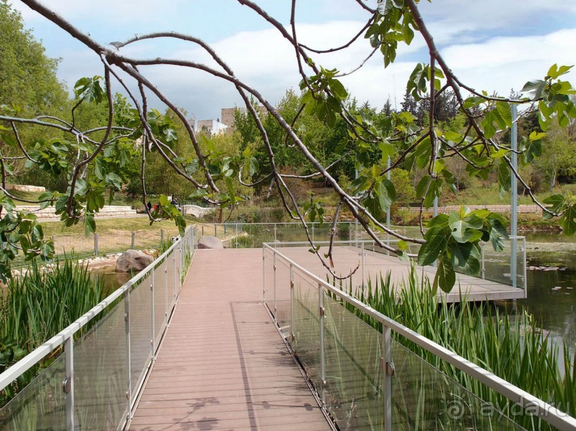 Ботанический сад Иерусалима и Стена Плача в праздничный день