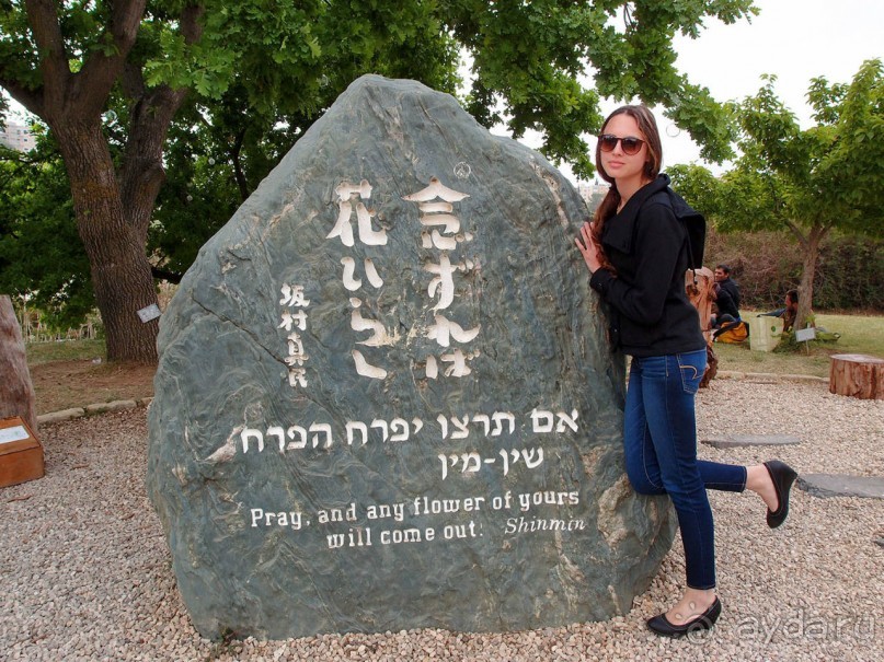 Ботанический сад Иерусалима и Стена Плача в праздничный день