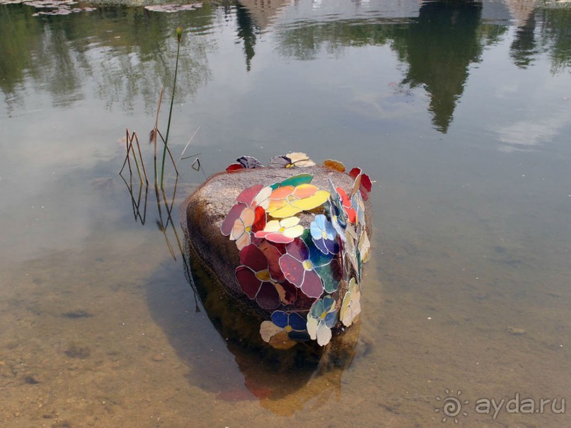 Ботанический сад Иерусалима и Стена Плача в праздничный день