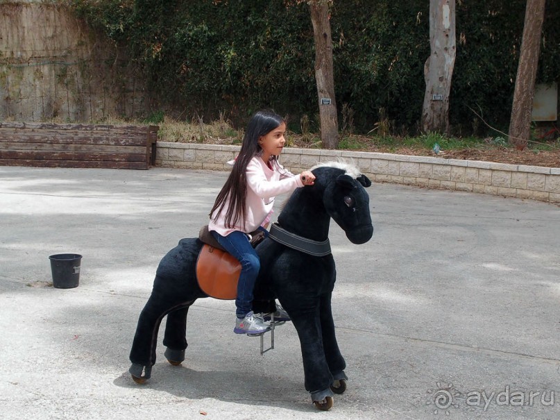 Ботанический сад Иерусалима и Стена Плача в праздничный день