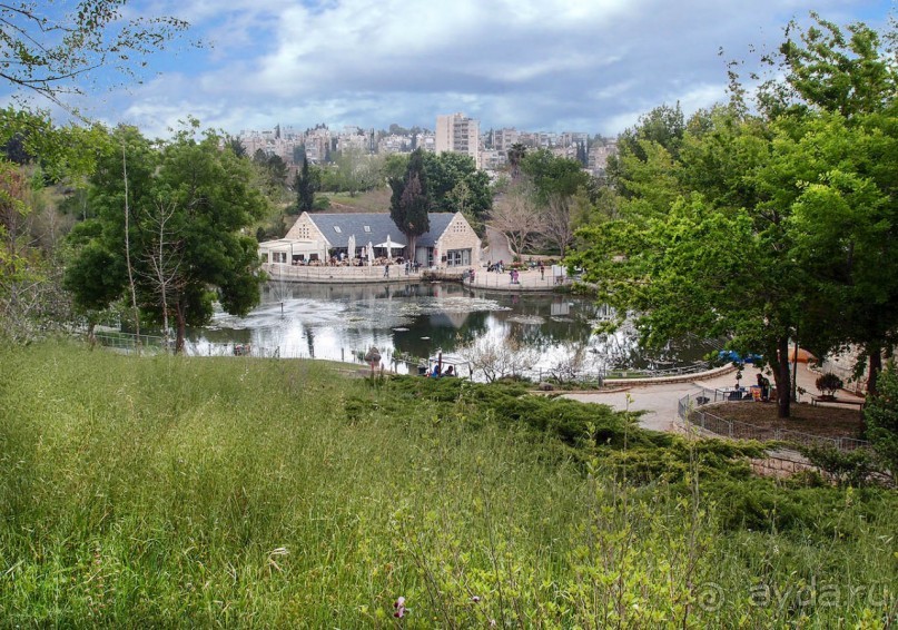 Ботанический сад Иерусалима и Стена Плача в праздничный день