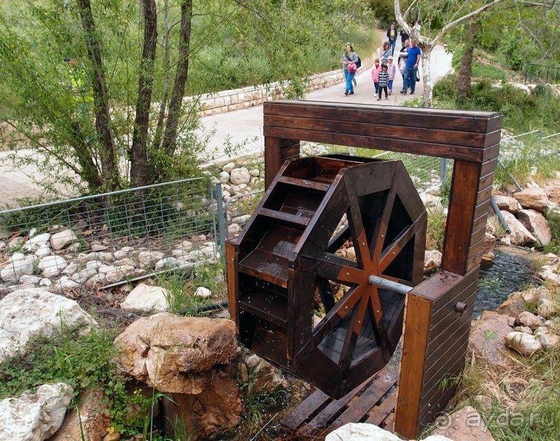 Ботанический сад Иерусалима и Стена Плача в праздничный день