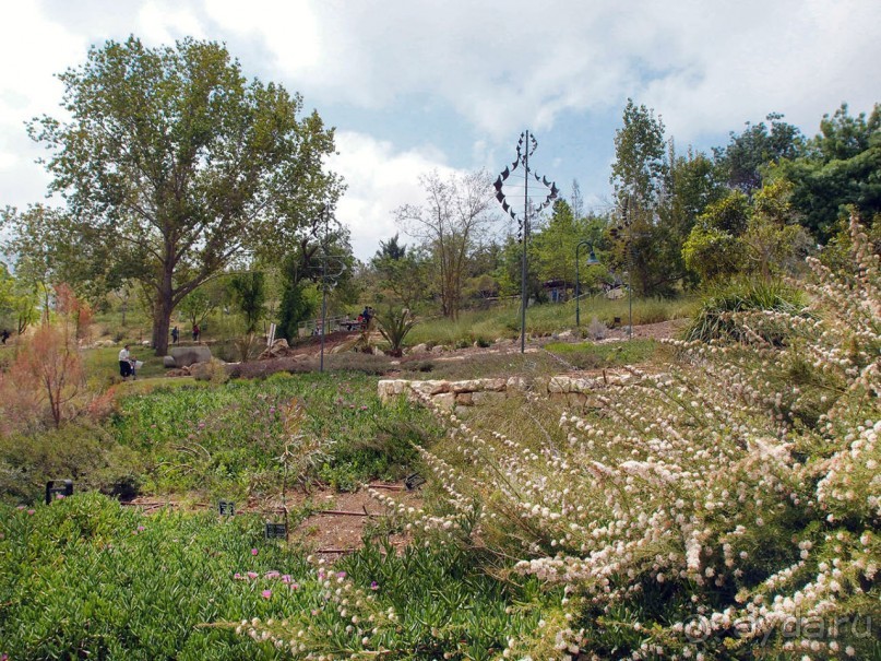 Ботанический сад Иерусалима и Стена Плача в праздничный день