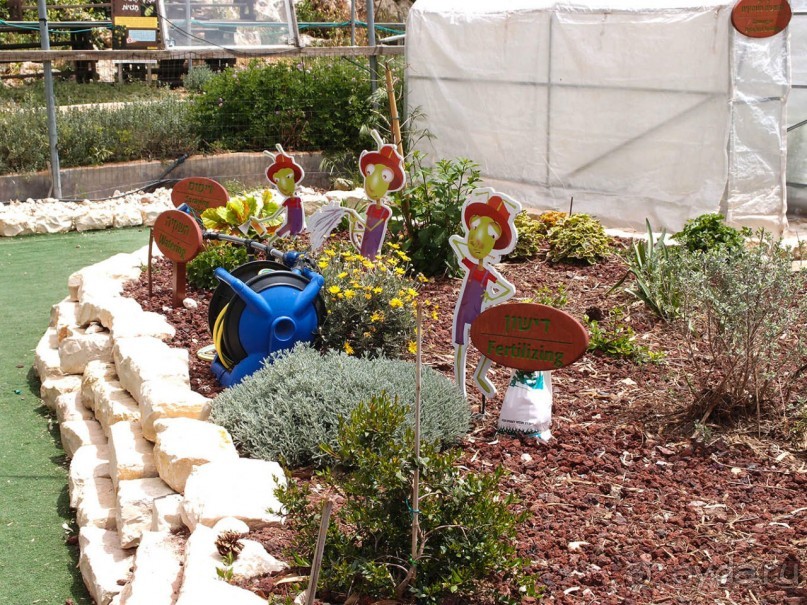 Ботанический сад Иерусалима и Стена Плача в праздничный день