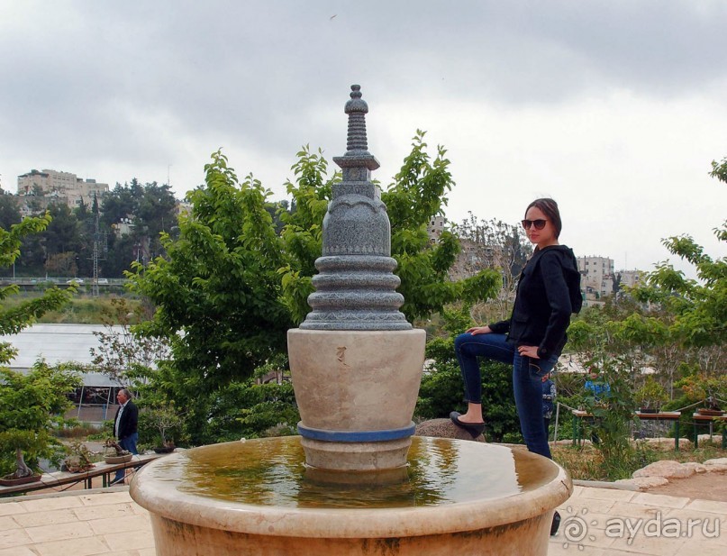 Ботанический сад Иерусалима и Стена Плача в праздничный день