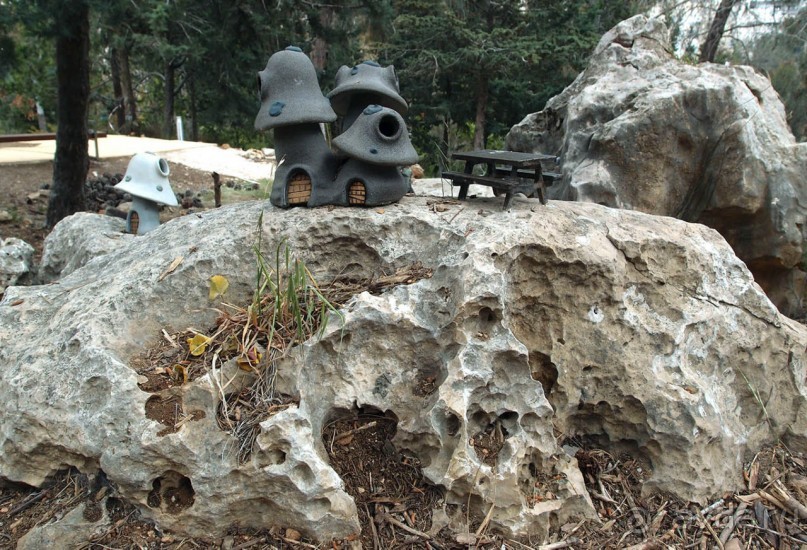 Ботанический сад Иерусалима и Стена Плача в праздничный день