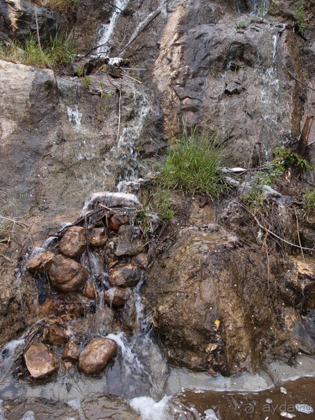 Ботанический сад Иерусалима и Стена Плача в праздничный день