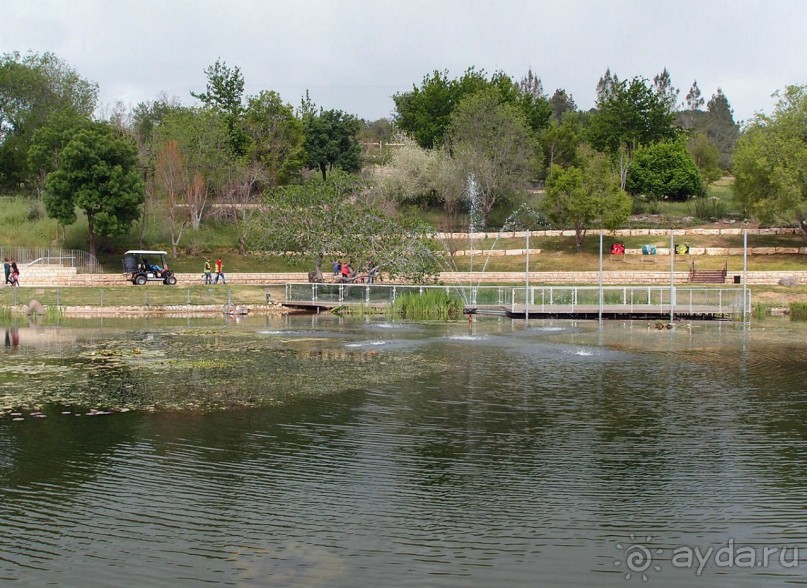 Ботанический сад Иерусалима и Стена Плача в праздничный день
