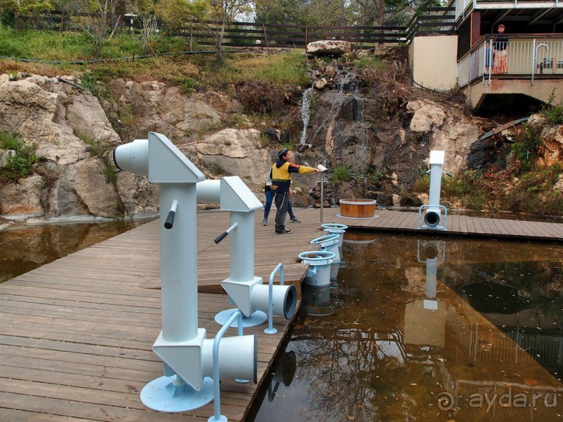 Ботанический сад Иерусалима и Стена Плача в праздничный день