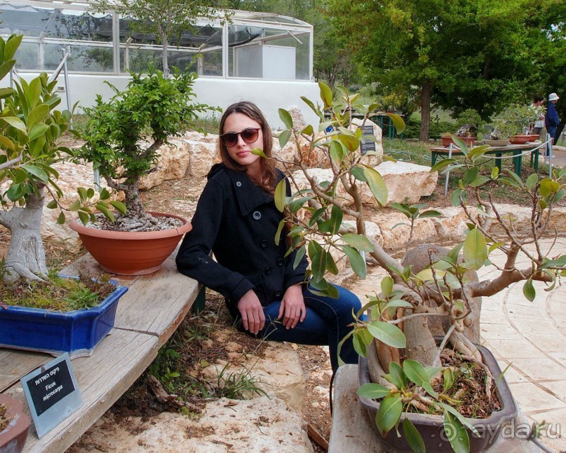 Ботанический сад Иерусалима и Стена Плача в праздничный день