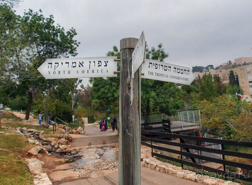 Ботанический сад Иерусалима и Стена Плача в праздничный день